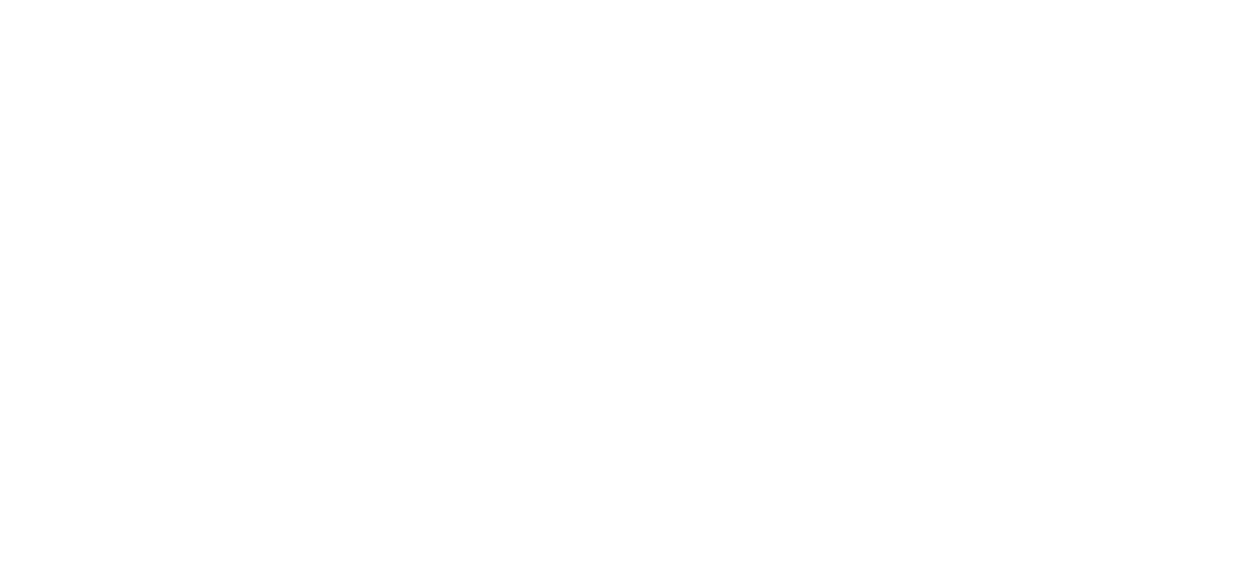ZZ Lean Consulting Logo